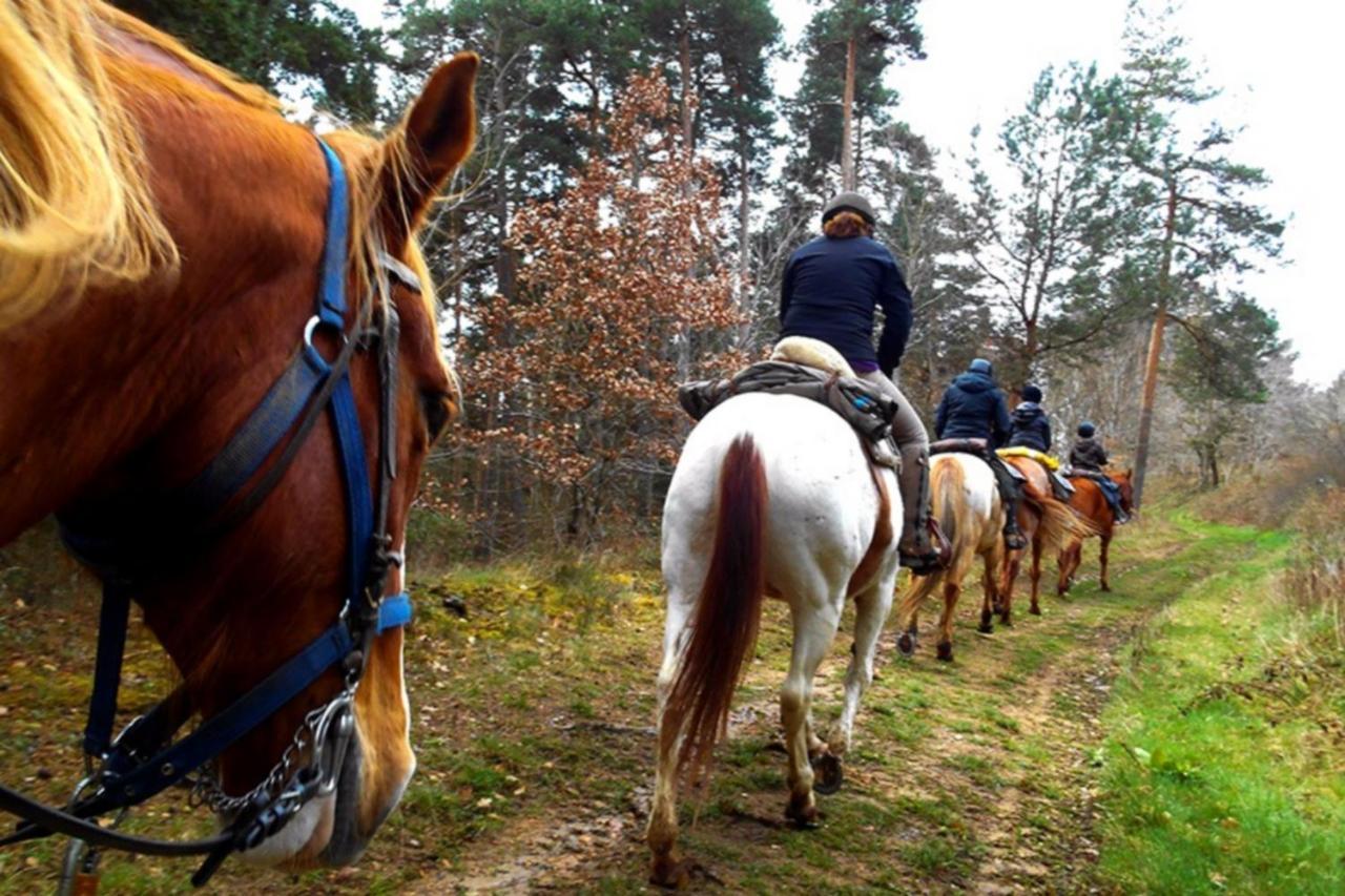 Les Gites Du Val Valprivas Exteriör bild